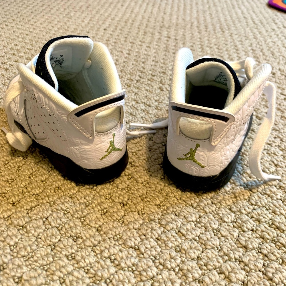 Jordan 6 Alligators